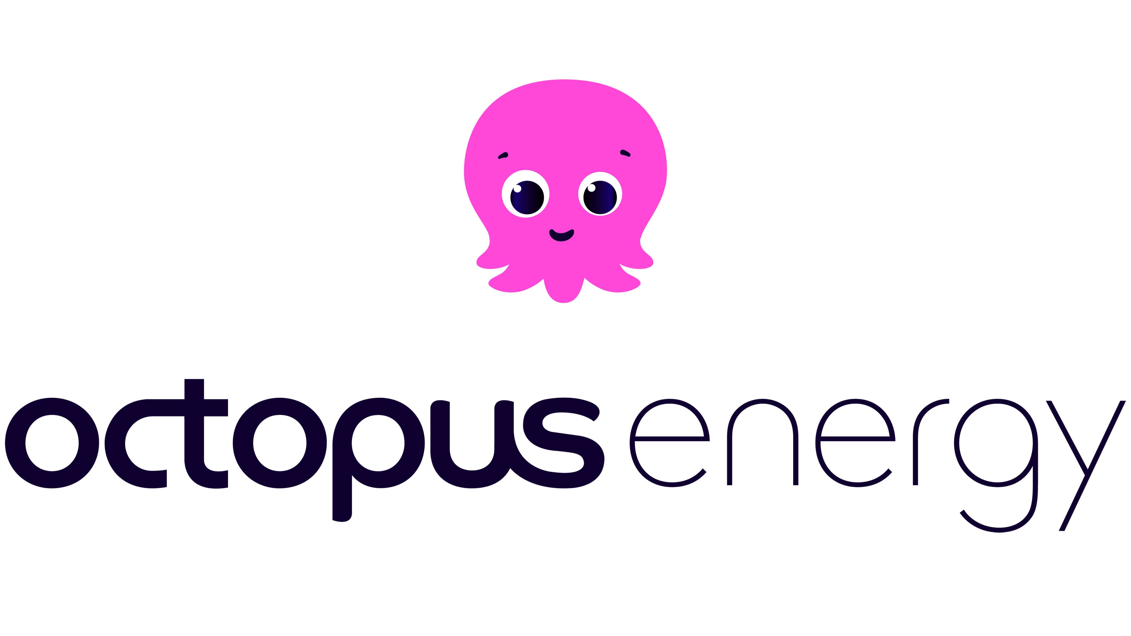Octopus Energy IT