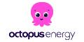 Octopus Energy IT